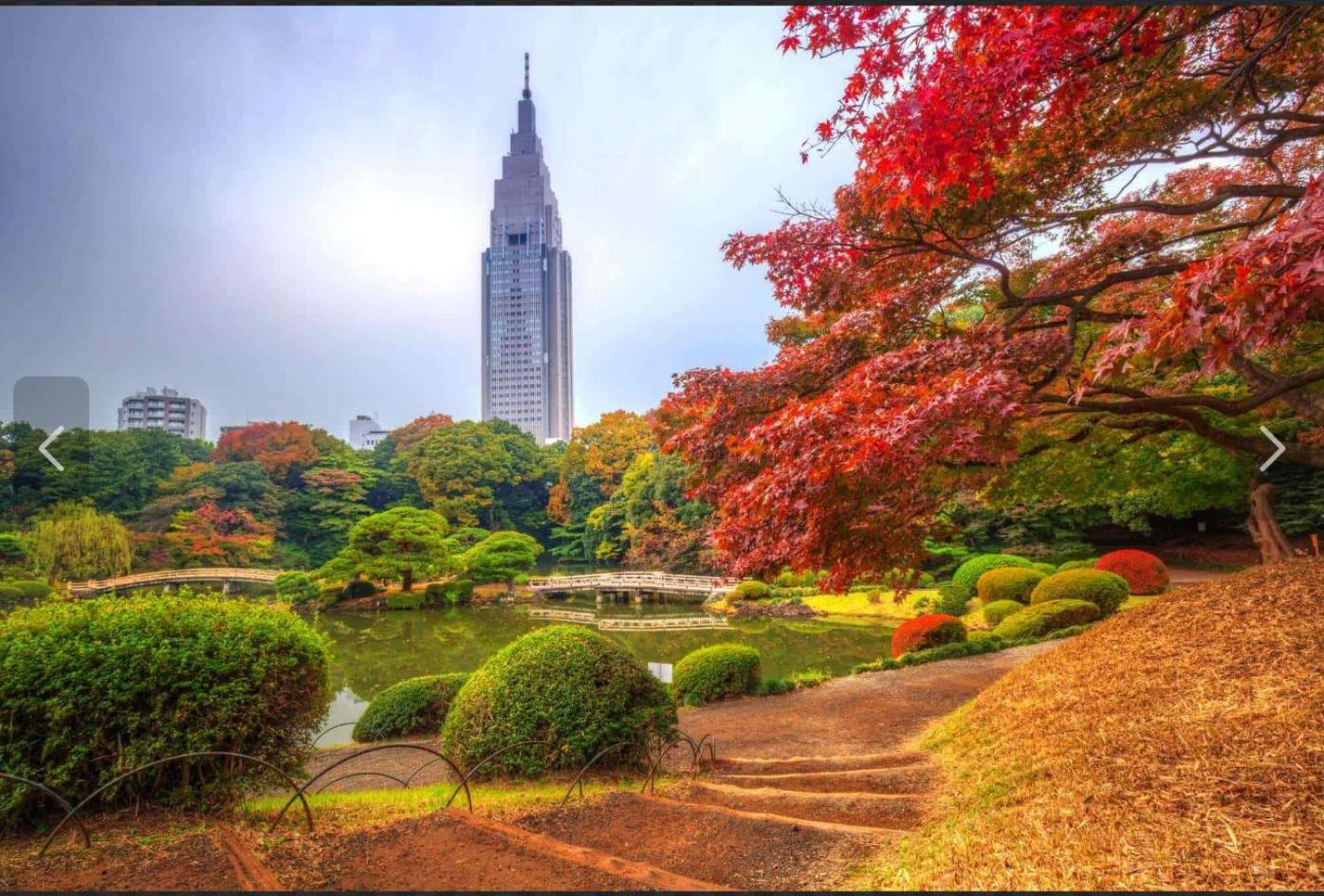 诚信东新宿 東京都 エクステリア 写真